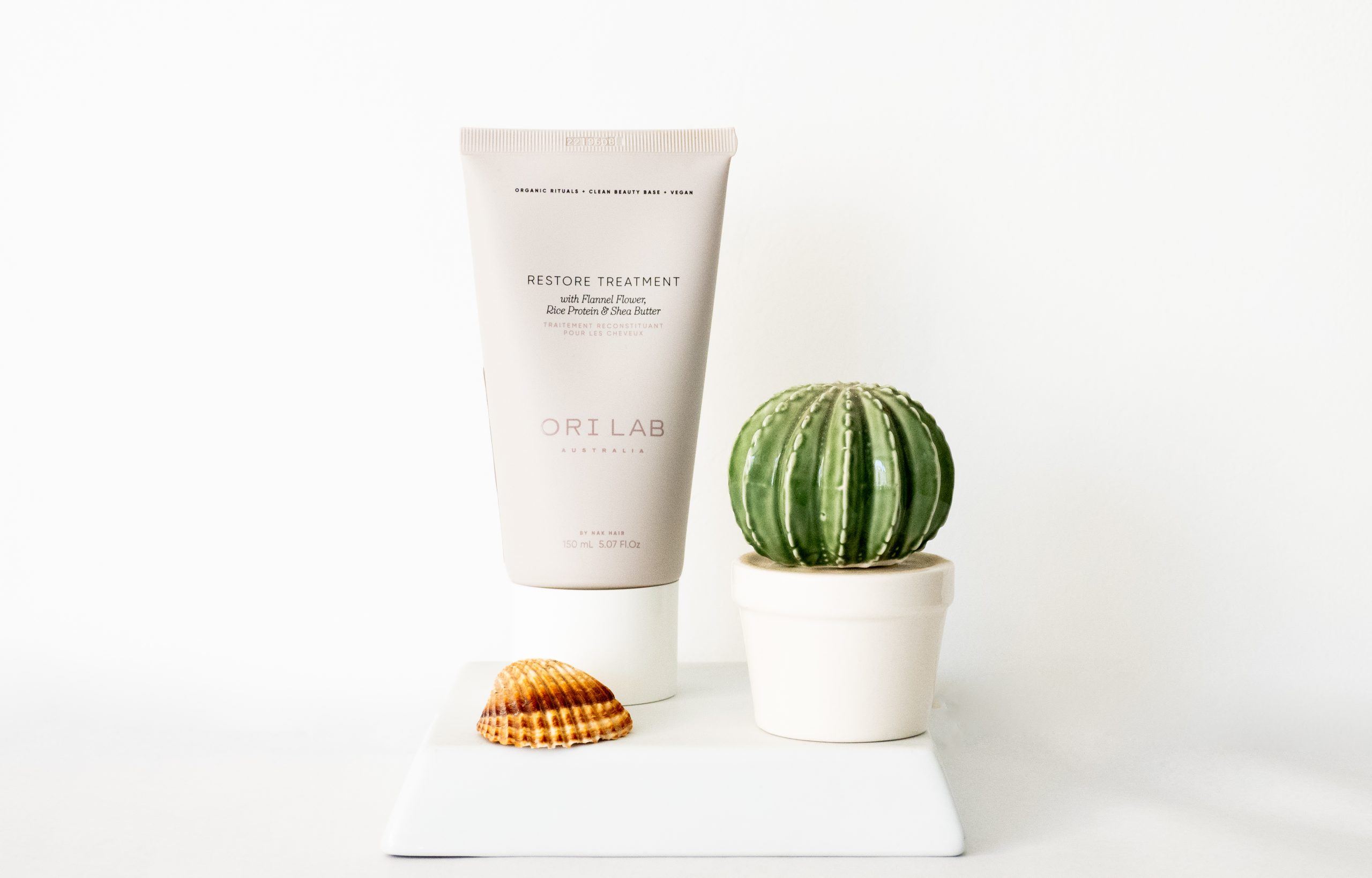 P6180036-Editar-Editar