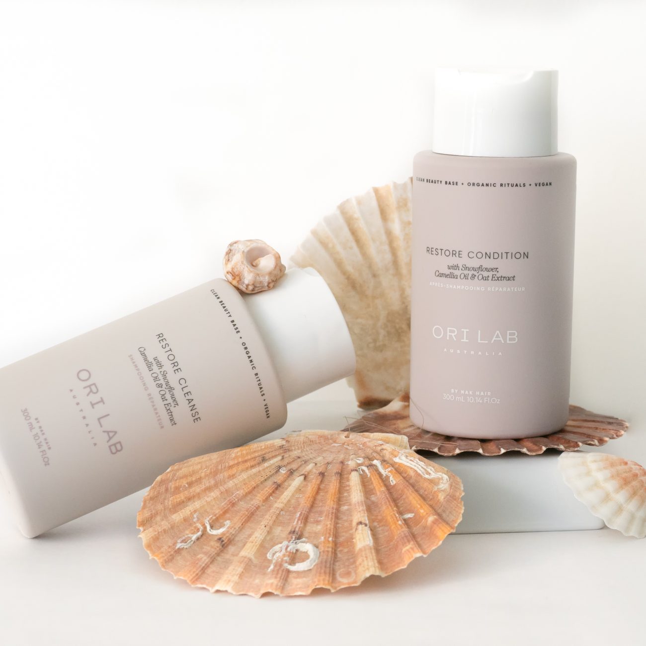 P6180040-Editar-Editar-Editar