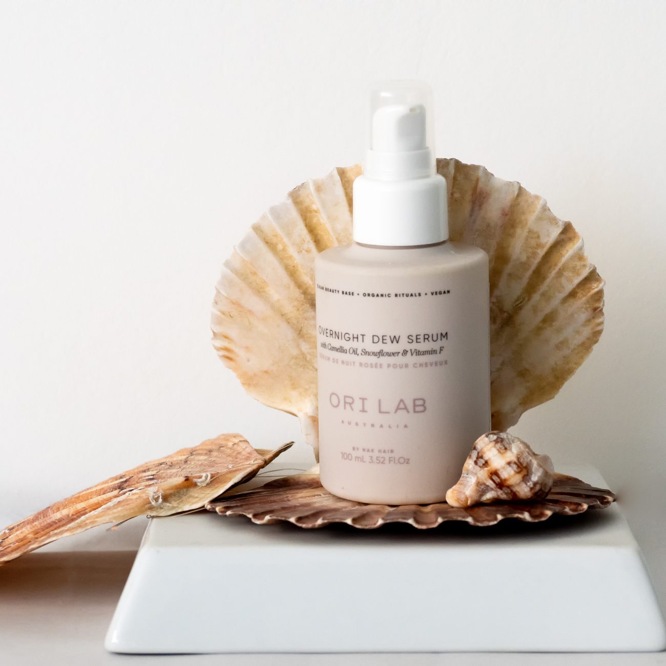 P6180043-Editar-Editar