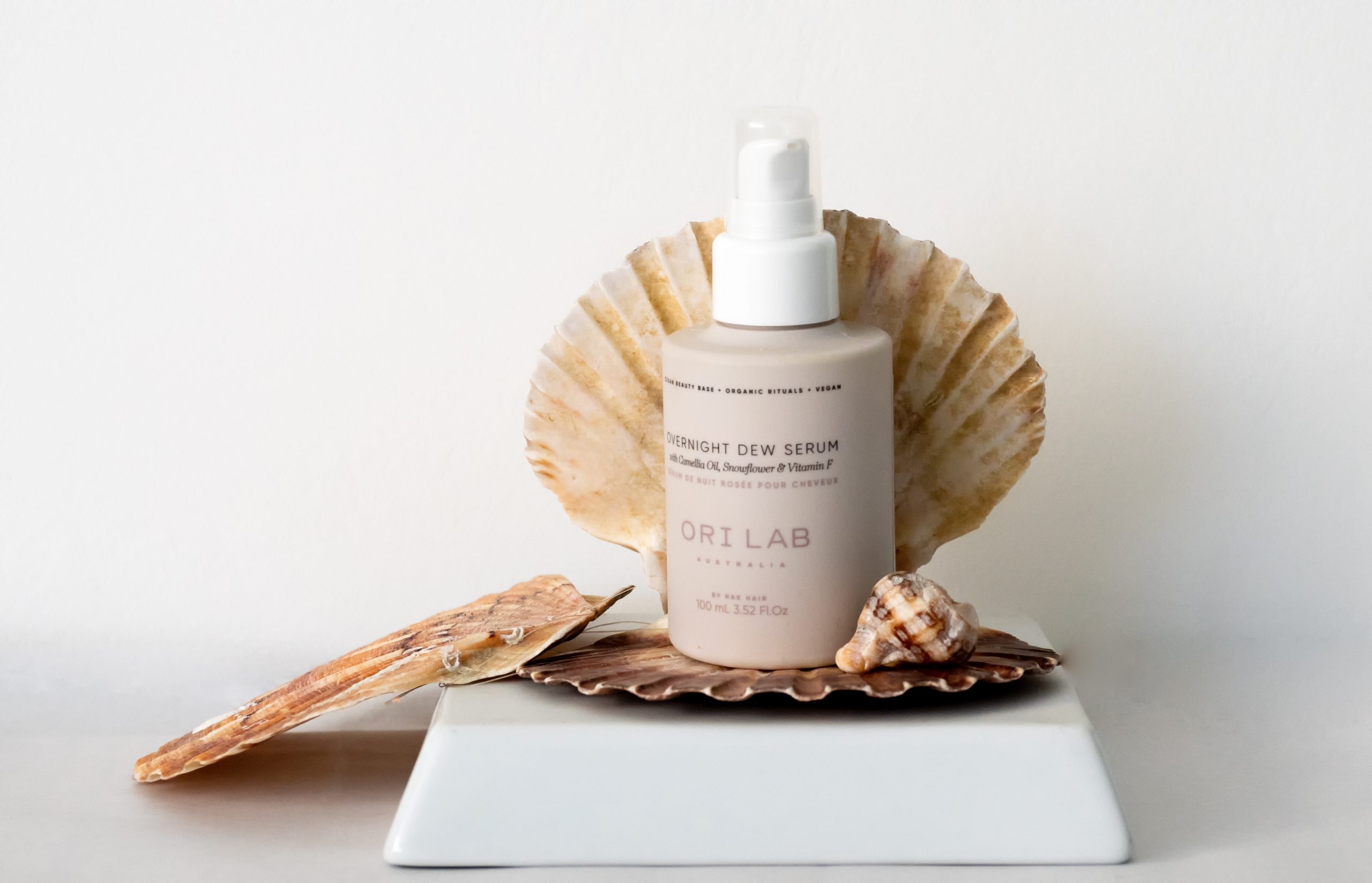 P6180043-Editar-Editar