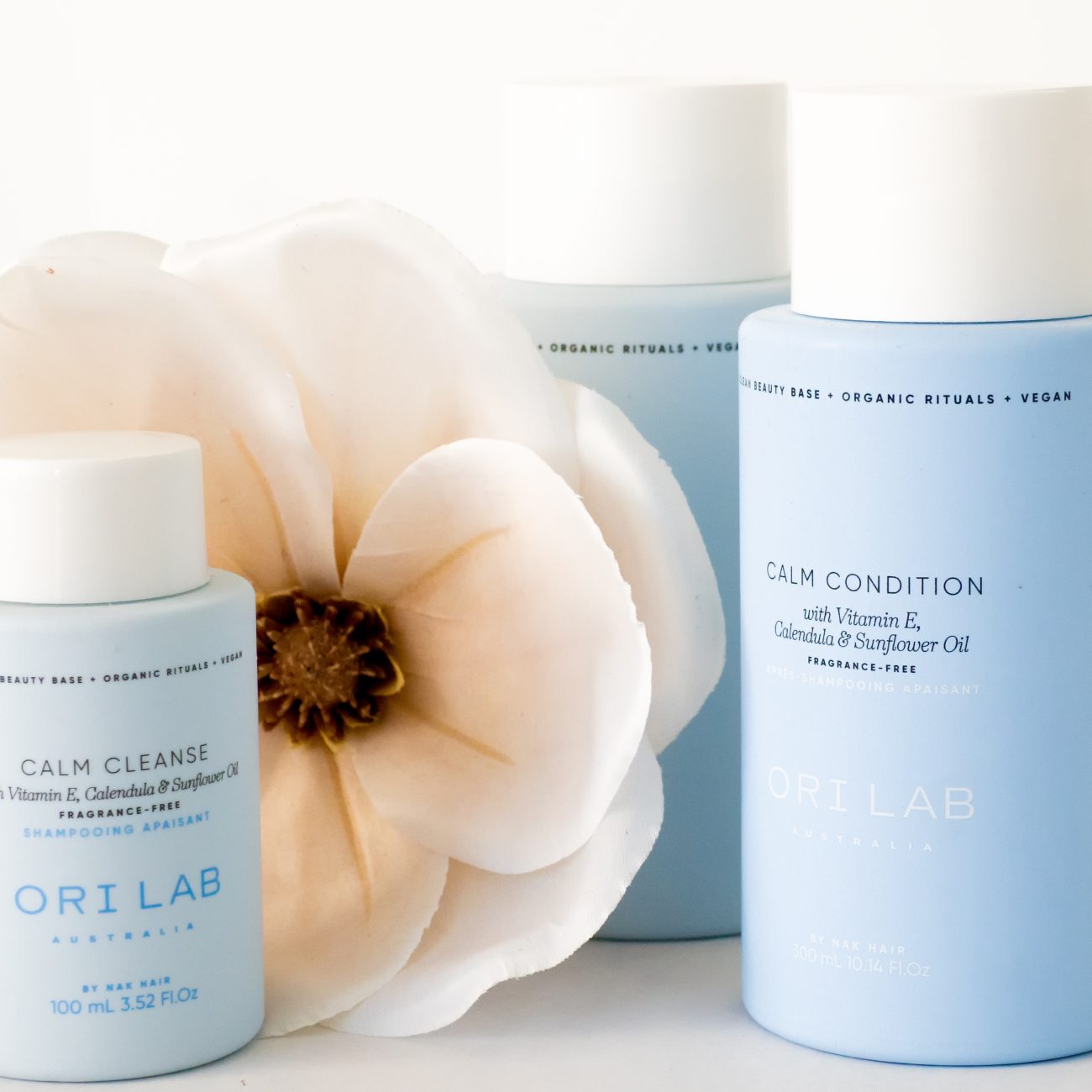 P6030035-Editar-Editar