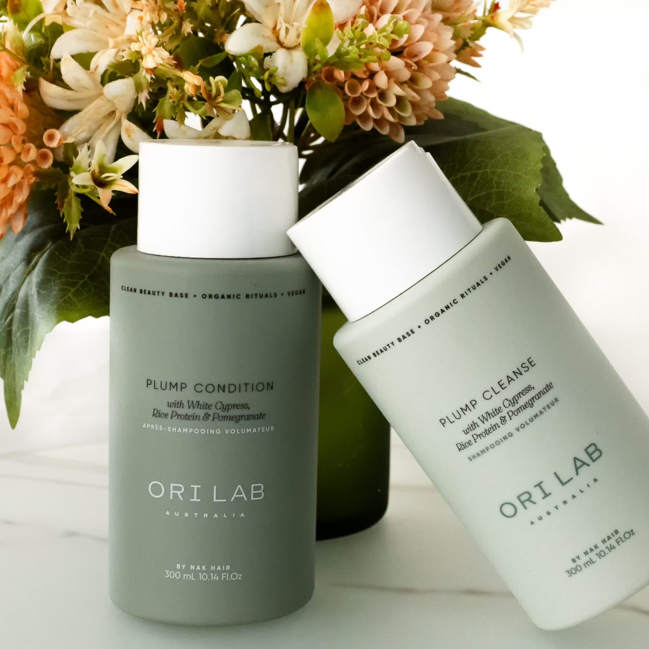 P6050019-Editar-Editar