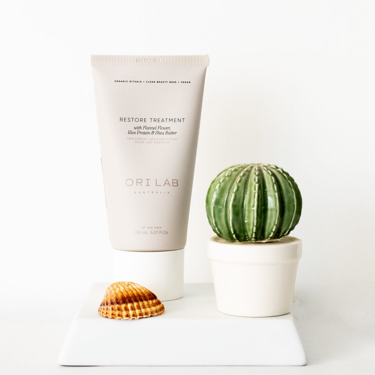 P6180036-Editar-Editar