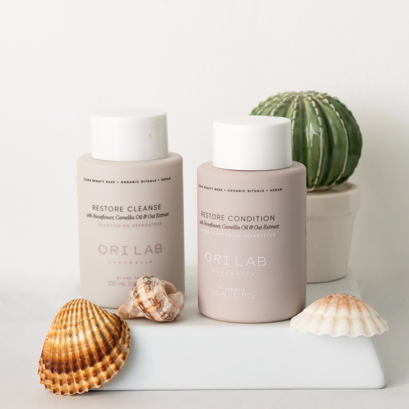 P6180039-Editar-Editar